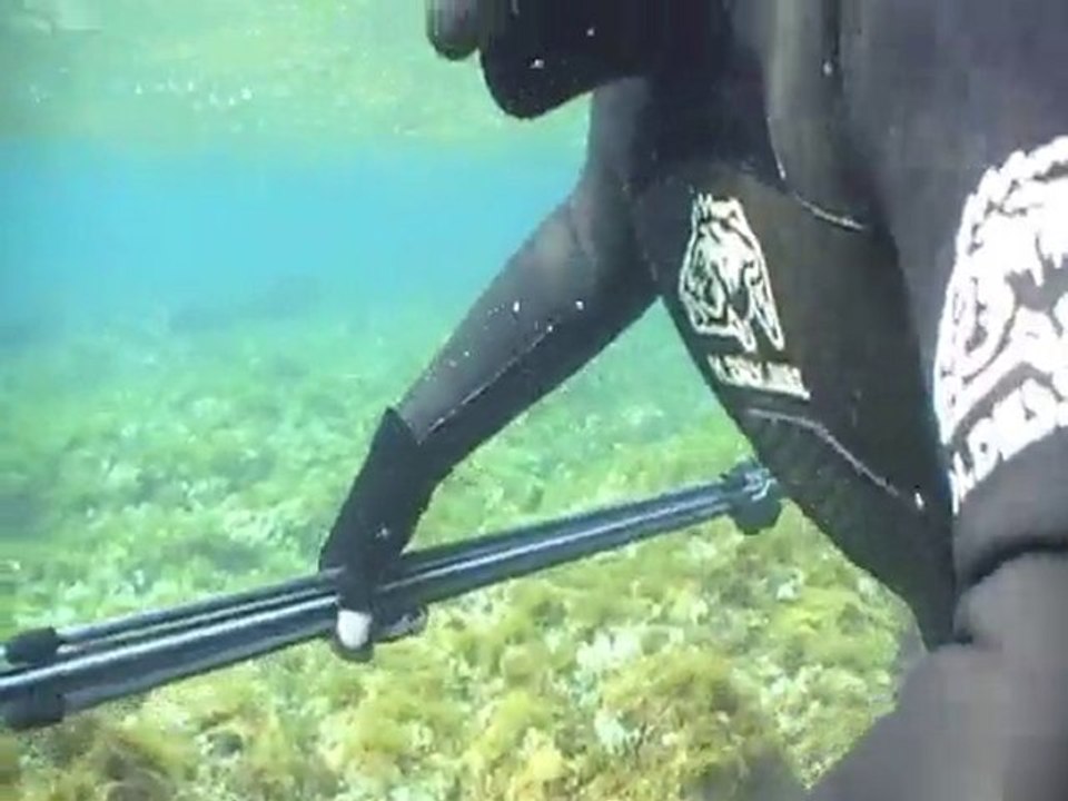 Chasse sous marine n°22