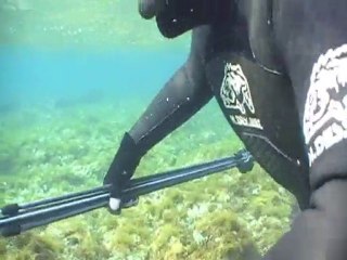 Chasse sous marine n°22