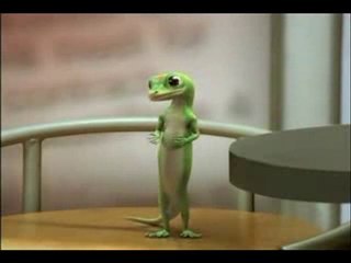 The Geico Gecko