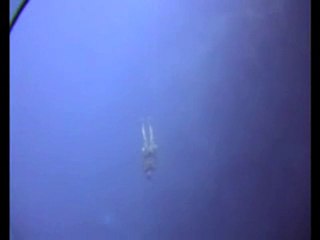 William Trubridge freedives THE ARCH at Blue Hole, Dahab