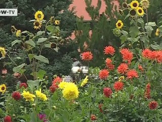 Scaling the Saxon peaks | Video of the day