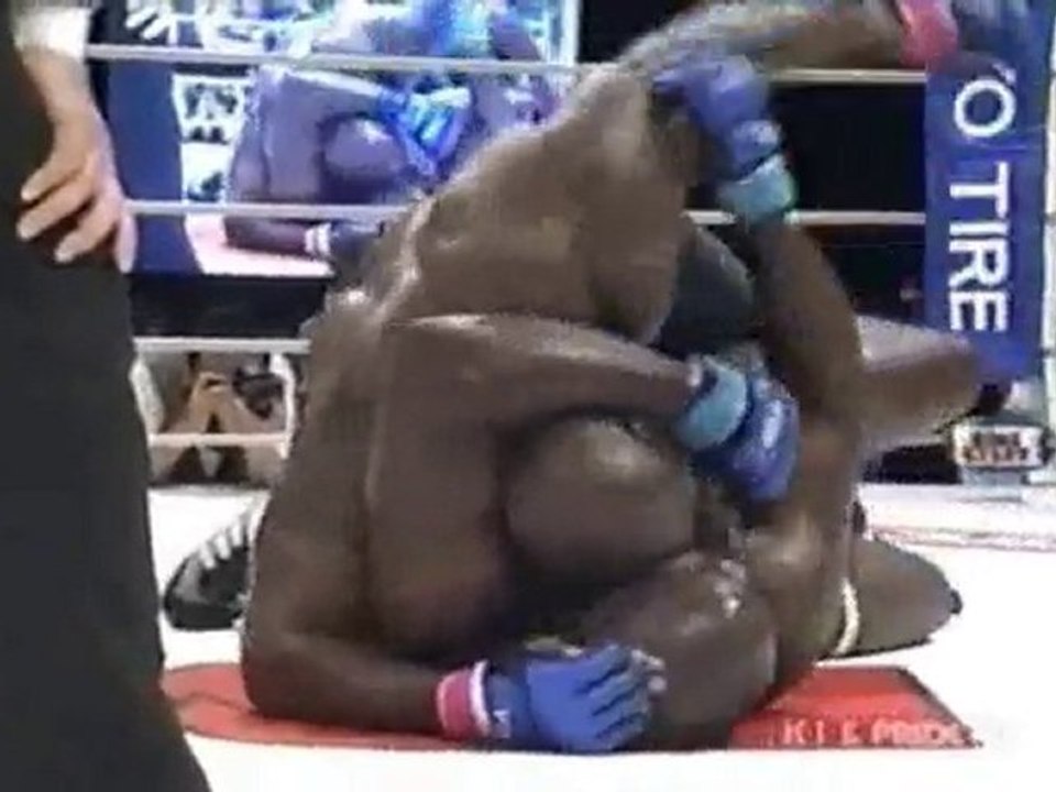 Lloyd Van Dams vs Gary Goodridge