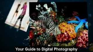 Learn Digital Photography | Guide To Digital Photography