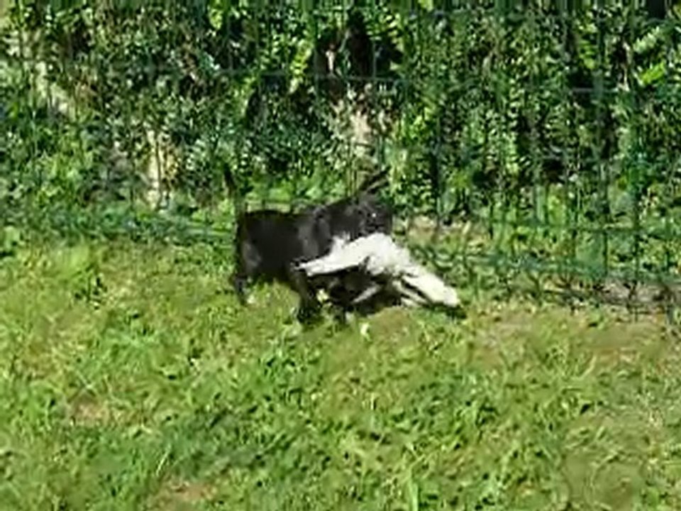 230610 098