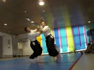 Demonstration  d'Aikido du 19/06/2010