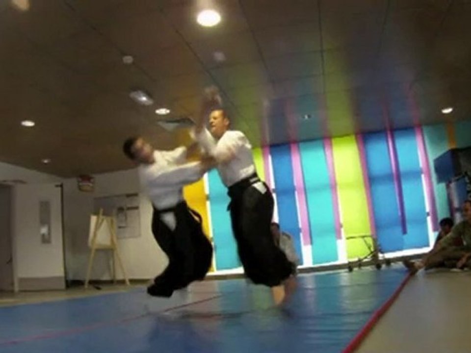 Demonstration  d'Aikido du 19/06/2010