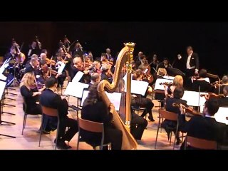 Michael Woods – Williams, Raiders March (excerpt)