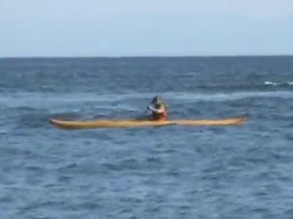 Uzun Deniz Kuşu  - 2008