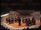 Michael Woods - Tchaikovsky Serenade for strings: Waltz