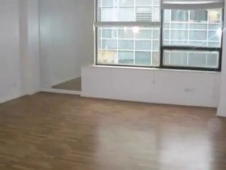 Homes for Sale - 233 E Erie St Apt 1105 - Chicago, IL 60611