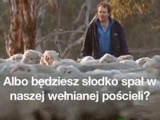 Posciel Zory Merino. Wyroby Welniane, Produkcja ...