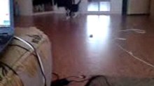 MOV02238