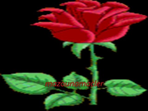 ๑۩۞۩๑d๑۩۞۩๑El Hachemi Guerrouabi......Hakmet๑۩۞۩๑h๑۩۞۩๑.