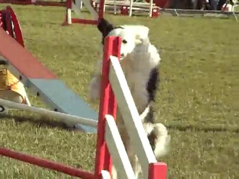 alain 3 éme degré ouveillan