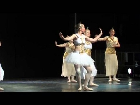 Gala Danse 2010: Les amis de la danse