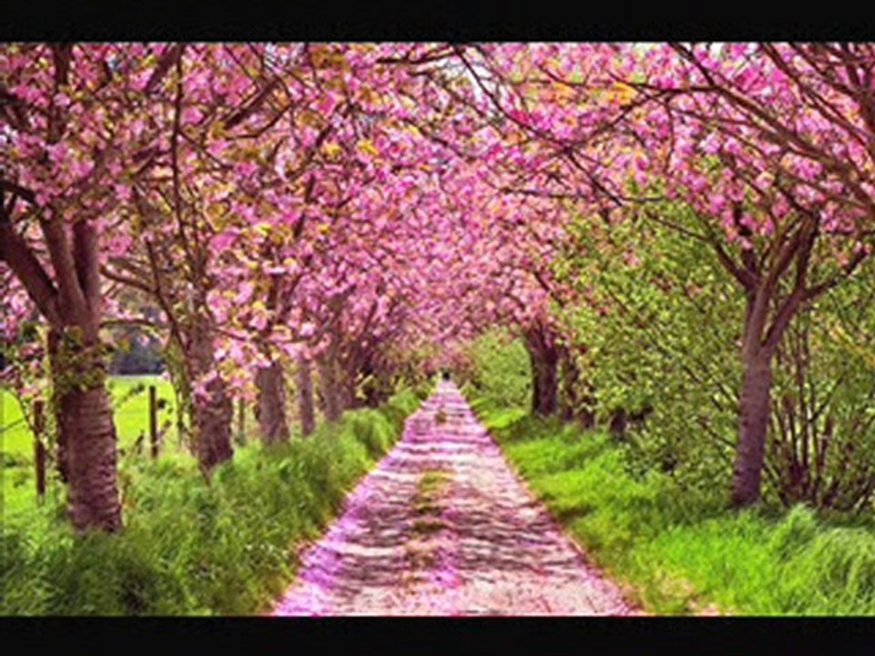 LA CREATION D ALLAH SUBHANA WA TA'ALA