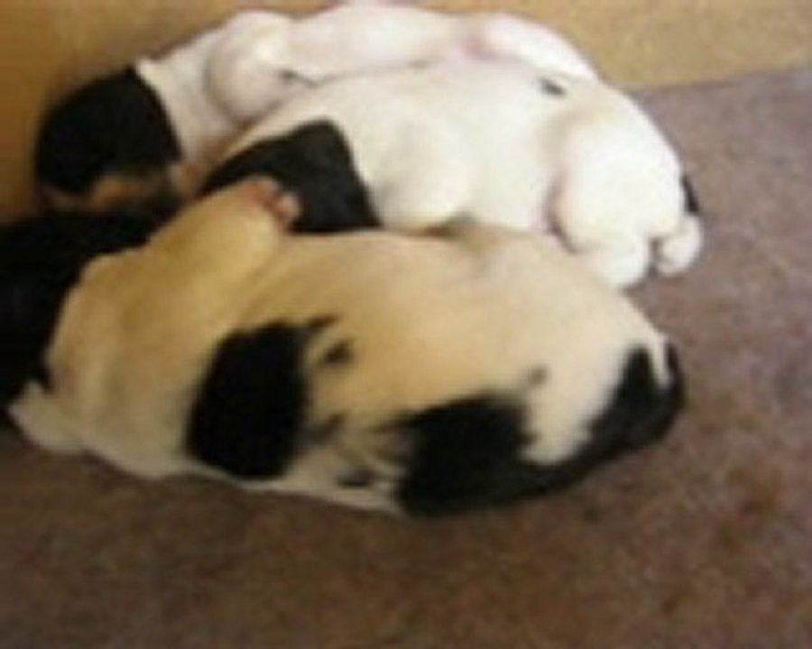 sieste et tétée  23:06:2010