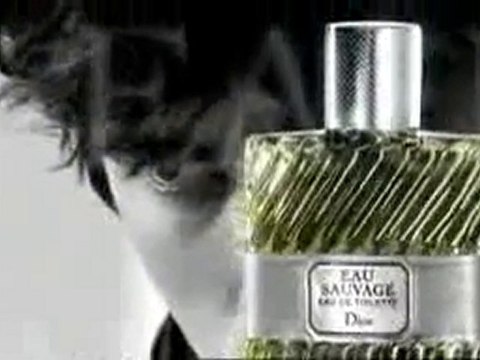 beauty-perfumes & dior