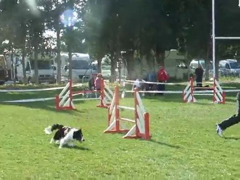 Cayenne 3ème degré Ouveillan 2010