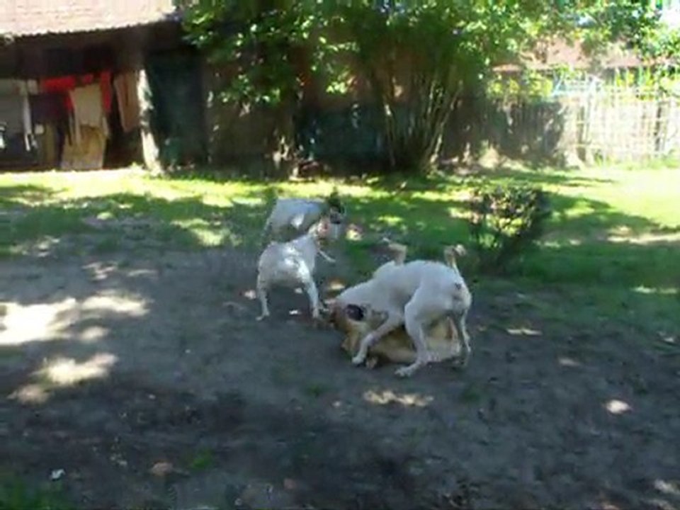 DSCF0006