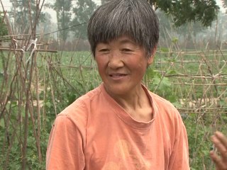 Organic farming gains ground in China