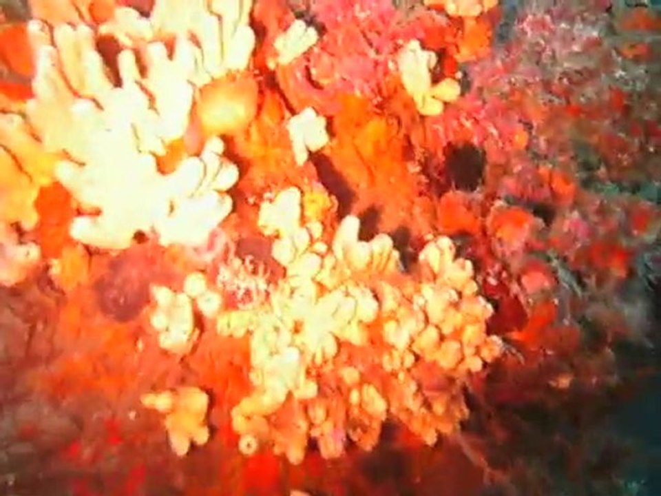 descente sur le togo !!!