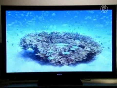 Чемпионат мира по футболу стимулирует бизнес