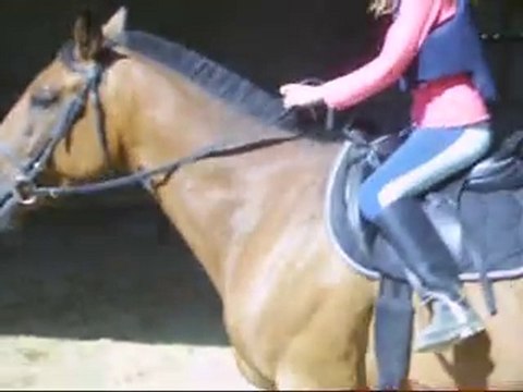 Perlani : Gwen travail transition