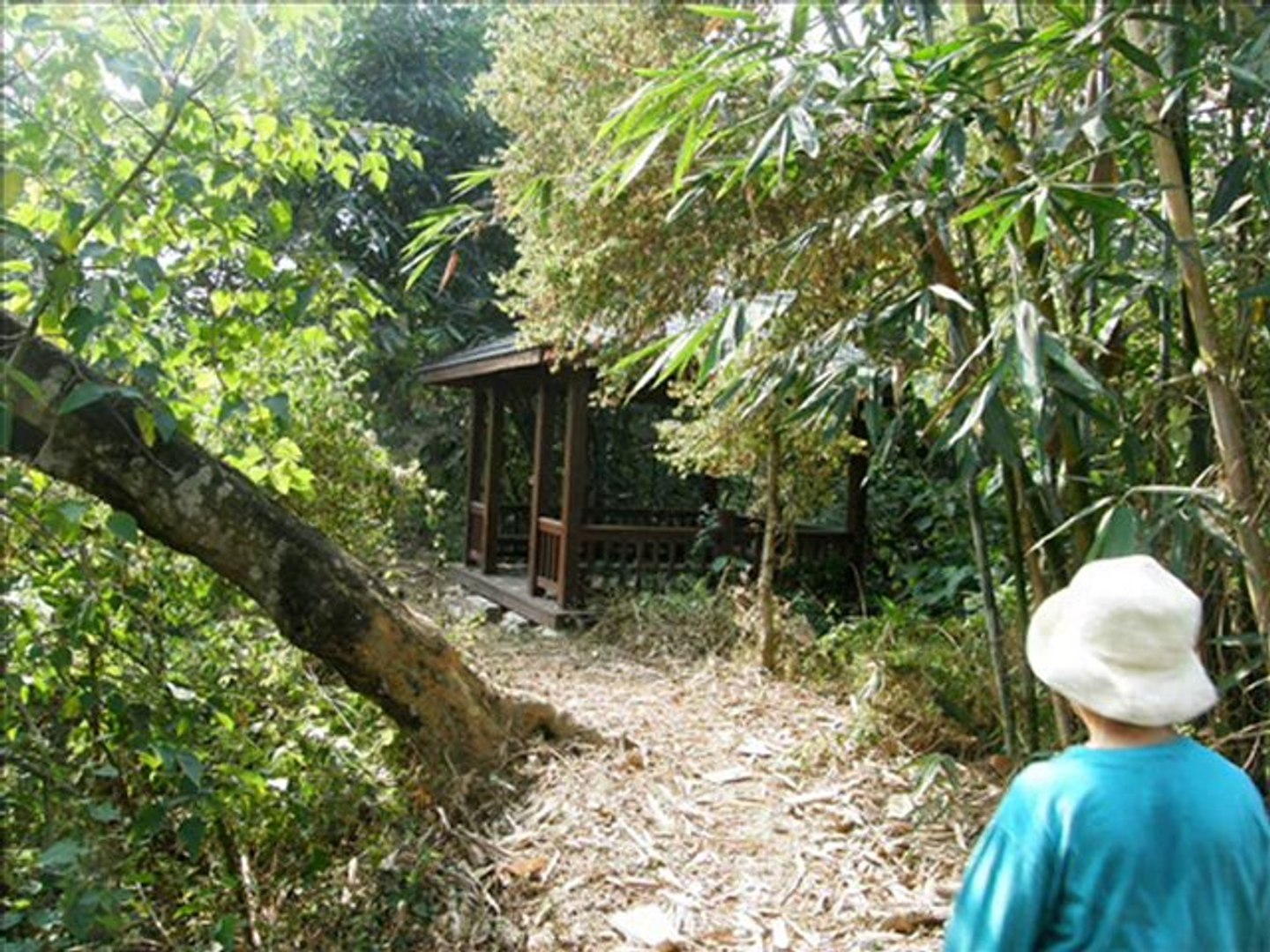 龜丹溫泉步道 Video Dailymotion