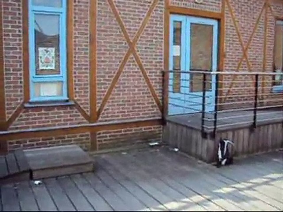 parkour ecv