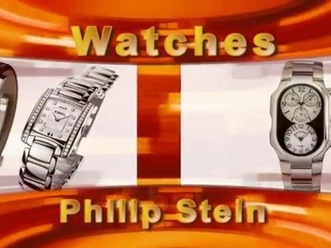 Wrist Watch St Petersburg Florida 33711 Ebel, Concord