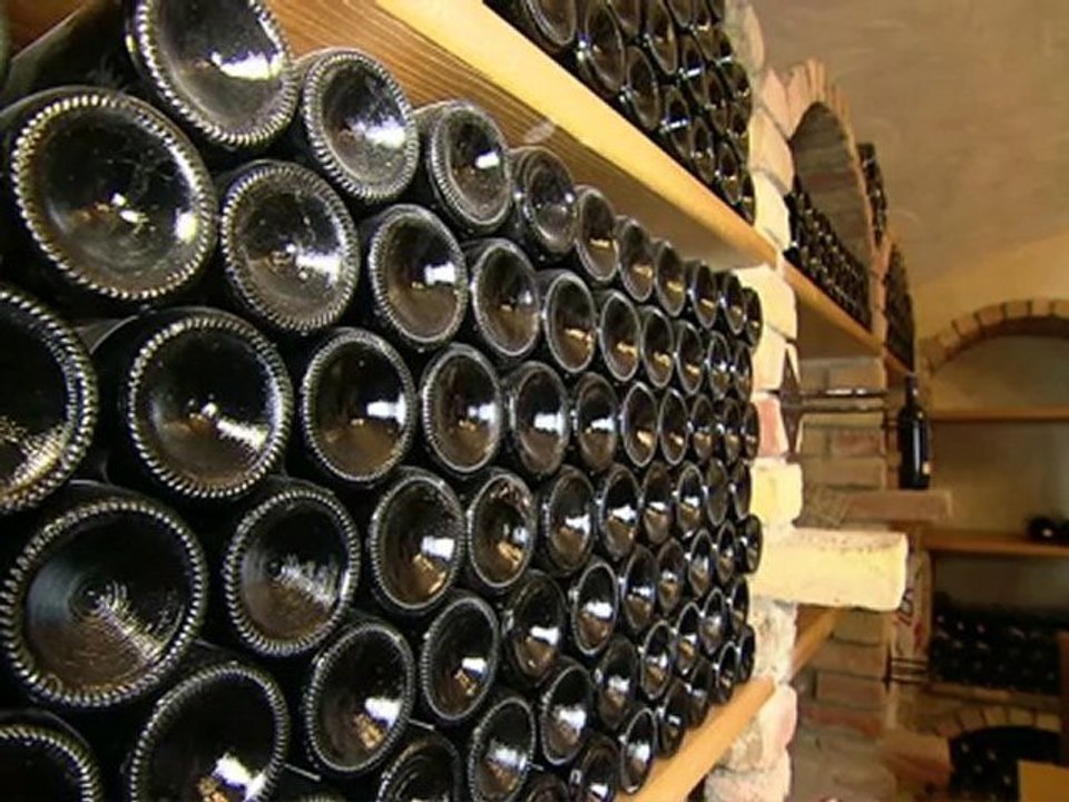 Weingut & Heuriger Piribauer -  Eine Erfolgsgeschichte eines