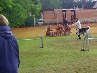 Jumping 1 Chanie herentals