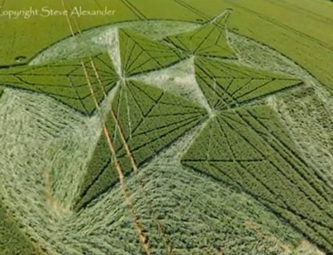 Crop Circle Savernake Forest Wiltshire 23Juin 2010