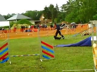 Vast 2 Fée herentals