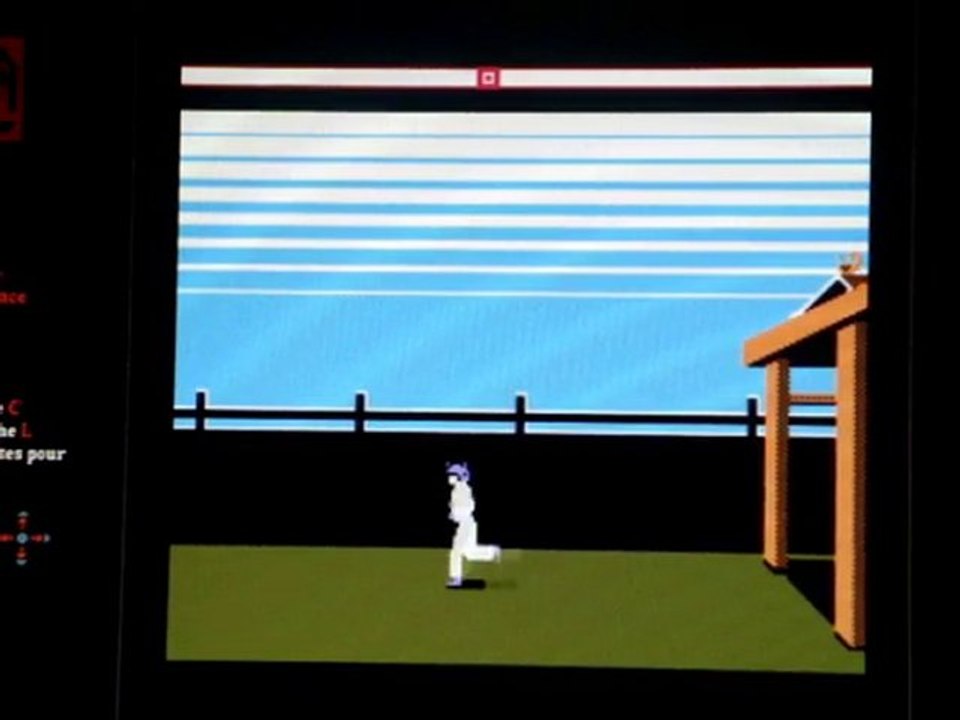 GeeketteNoob - Karateka