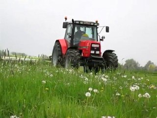 Herve au Fauchage 2010