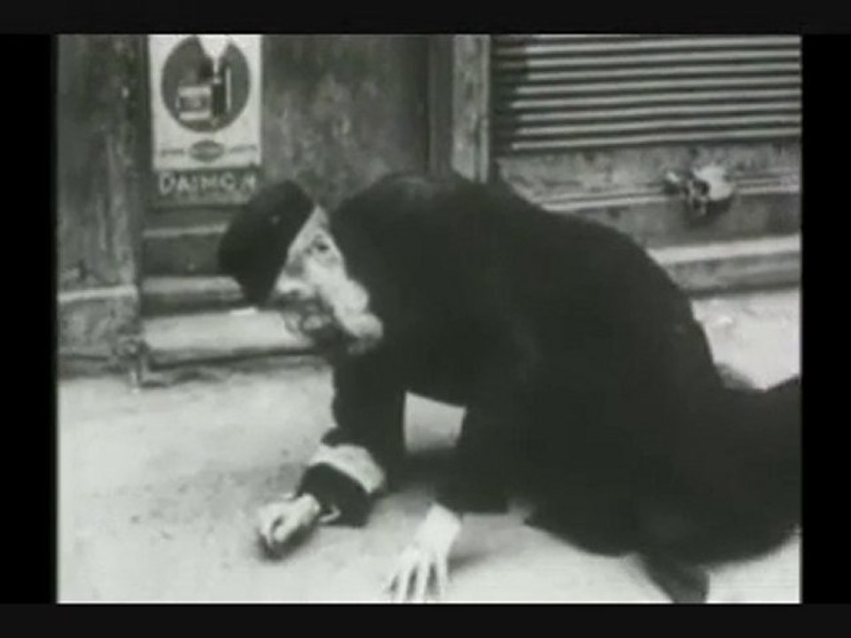 warsaw ghetto. (4 6)