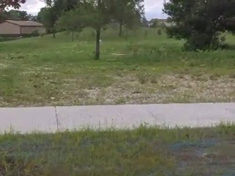 Homes for Sale - 1226 Lacoma Dr - Lockport, IL 60441 - Coldw