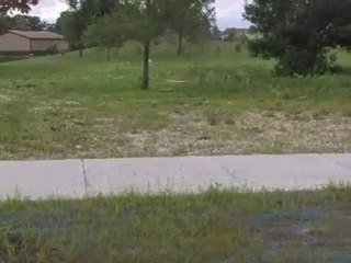 Homes for Sale - 1226 Lacoma Dr - Lockport, IL 60441 - Coldw