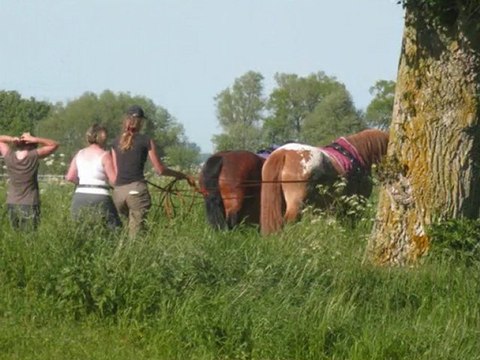 balade aux longues rênes