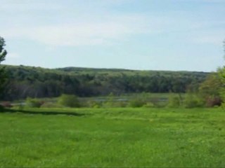 George Carlin - Earth, Nature and Humanity!