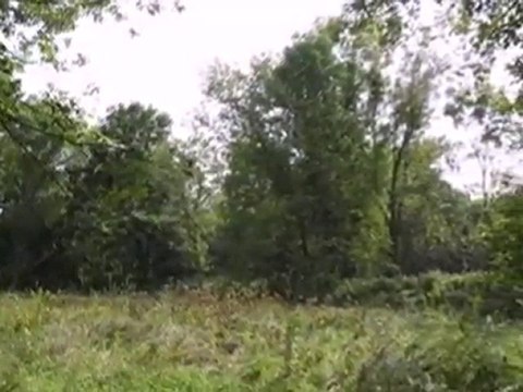 Homes for Sale - 197 Northwest Hwy - Cary, IL 60013 - Coldwe