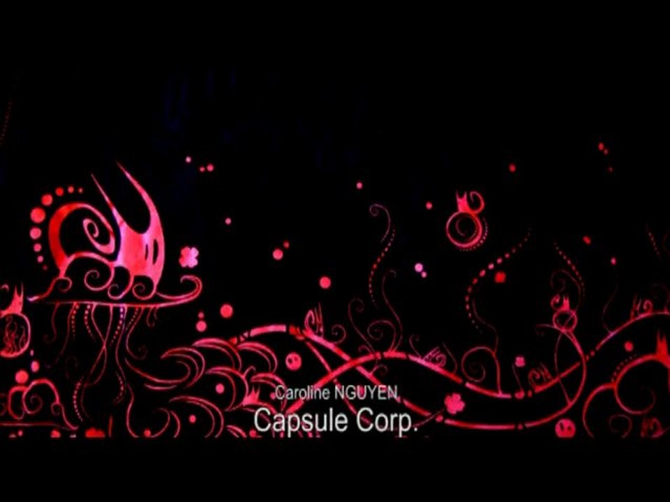 Caroline Nguyen et sa marque "Capsule Corp."