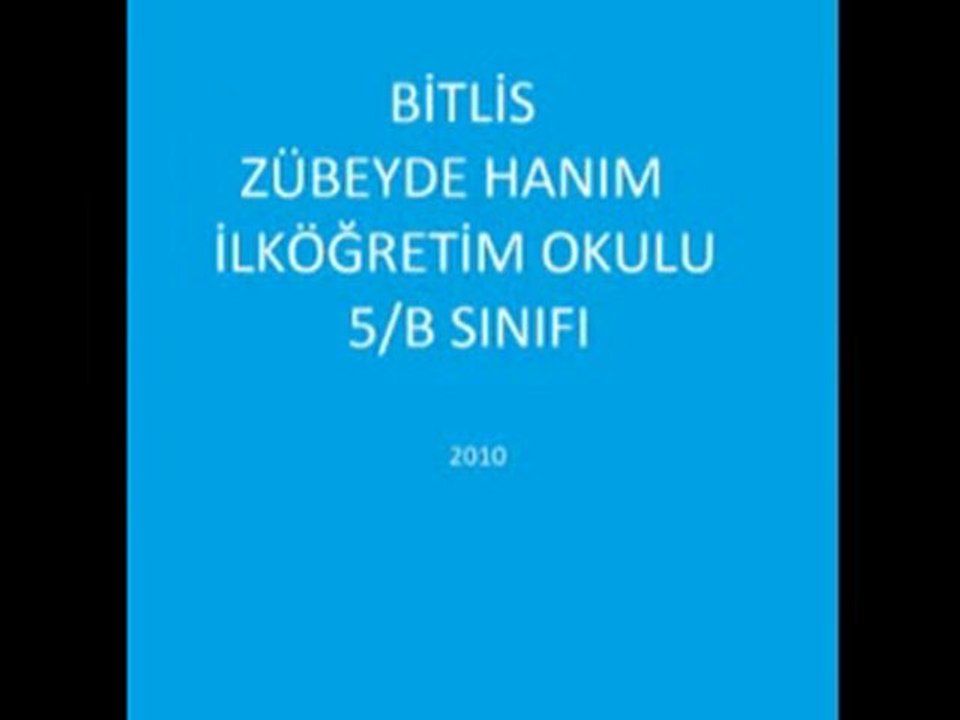 Bitlis Zübeyde Hanım İlköğretim Okulu 5/B Sınıfı Mehmet KARA