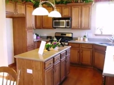 Homes for Sale - 1705 Pin Oak Ln - Elgin, IL 60120 - Coldwel