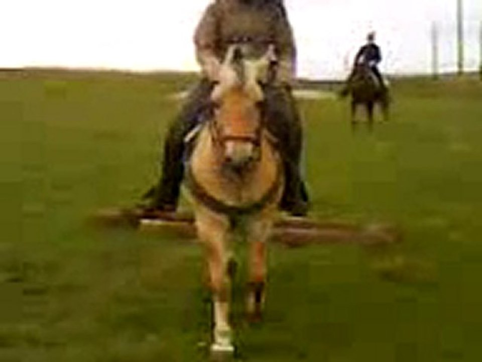 saut de Rocco et Moi et Eclypse avec Manon