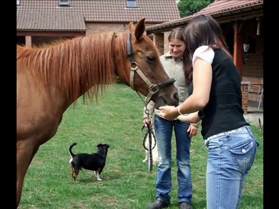 Af for Natasha Marco and Maaike