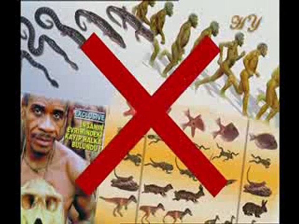 les fossiles refutent la theorie de l'evolution