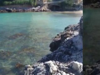 FIESTAS PRIVADAS Palma Mallorca- _Cafe Jaime`s_ -Minimo 30